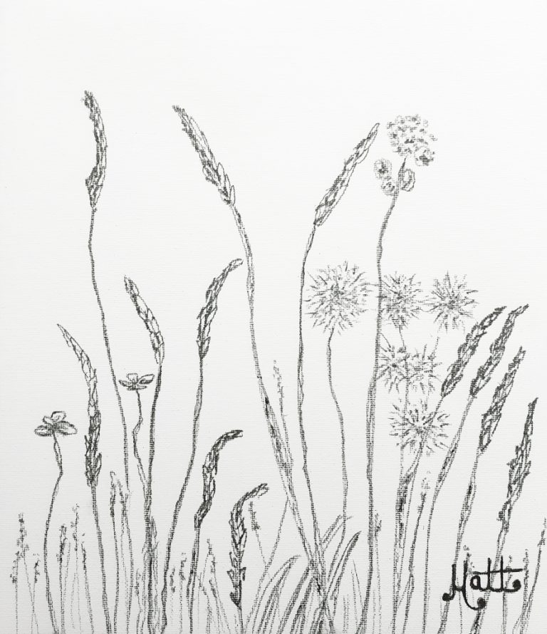Hayfield Meadow Grasses & Creatures